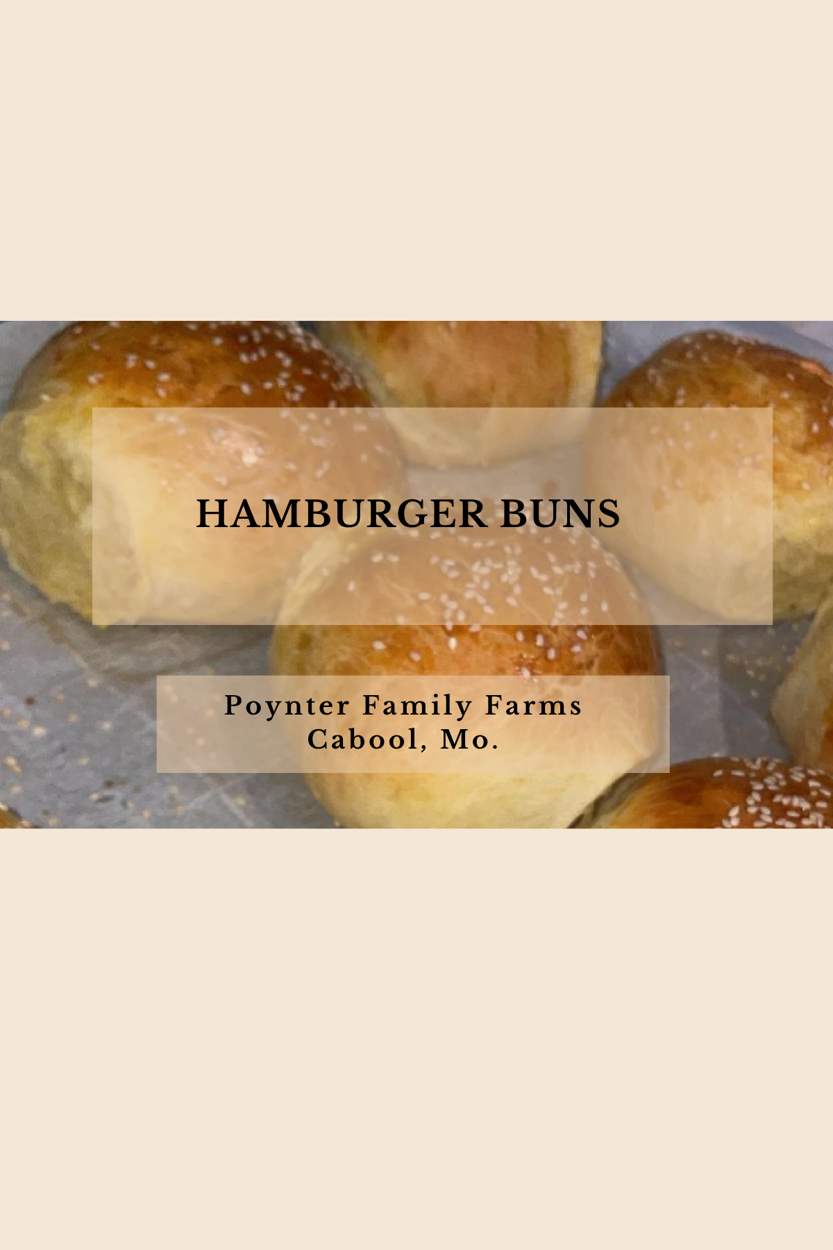 Hamburger Buns Recipe