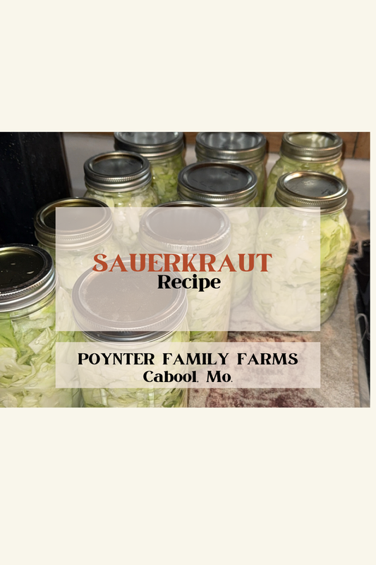 Homemade Sauerkraut Recipe